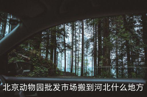 北京動(dòng)物園批發(fā)市場(chǎng)將遷移至河北什么地方，北京動(dòng)物園批發(fā)市場(chǎng)將遷移至河北哪里