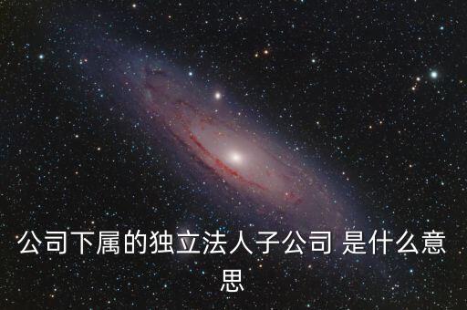 下屬子公司是什么意思，母公司集團(tuán)公司是有限責(zé)任公司下屬子公司有的是有限責(zé)任公