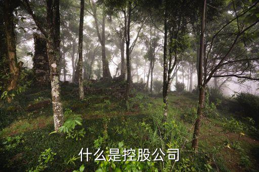 豐展控股是什么公司，什么是控股公司
