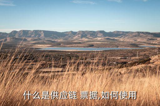 開上海票據,上海票據交易所待遇