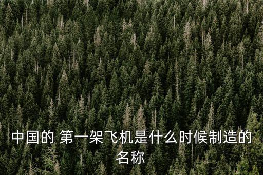 中國(guó)的 第一架飛機(jī)是什么時(shí)候制造的名稱(chēng)