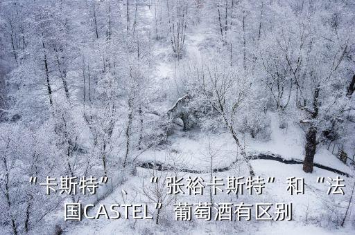 “卡斯特”、“ 張?？ㄋ固亍焙汀胺▏鳦ASTEL”葡萄酒有區(qū)別