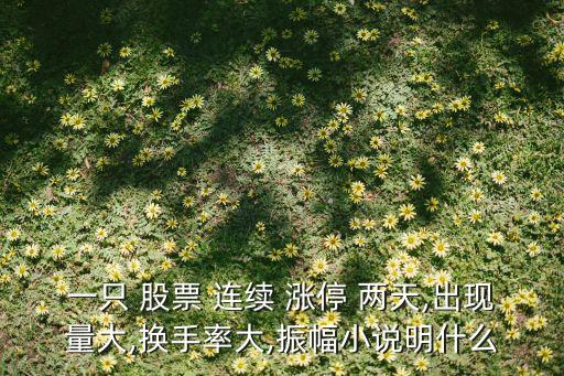 一只 股票 連續(xù) 漲停 兩天,出現量大,換手率大,振幅小說明什么