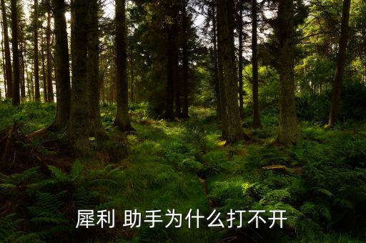 星華股票復盤助手