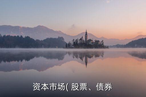 資本市場(chǎng)( 股票、債券