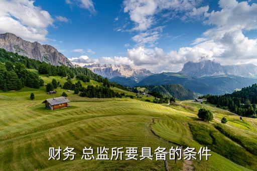  財務 總監(jiān)所要具備的條件