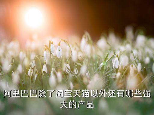 阿里巴巴除了淘寶天貓以外還有哪些強大的產品