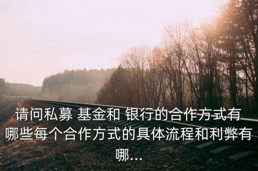 請(qǐng)問(wèn)私募 基金和 銀行的合作方式有哪些每個(gè)合作方式的具體流程和利弊有哪...