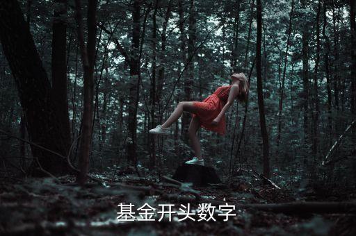 基金開(kāi)頭數(shù)字