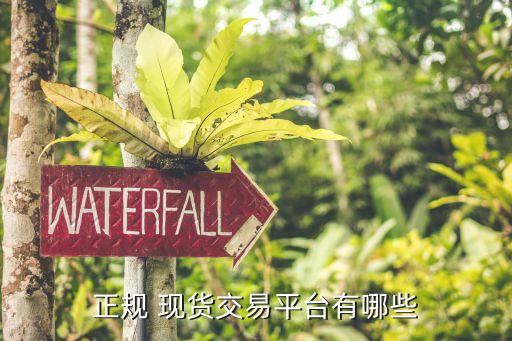 上?，F(xiàn)貨黃金交易所,上海黃金交易所app下載 官方