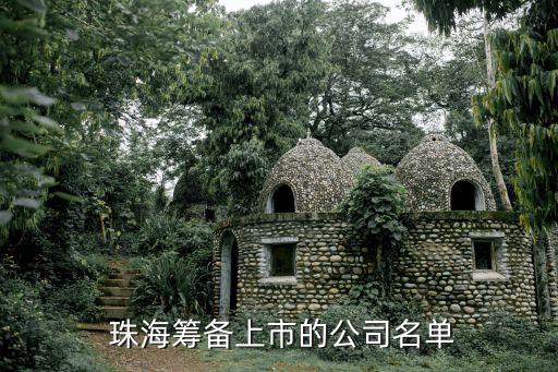  珠?；I備上市的公司名單