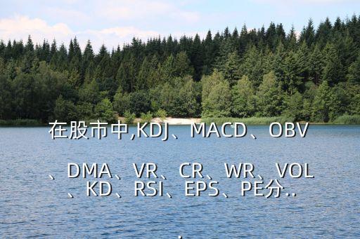在股市中,KDJ、MACD、OBV、DMA、VR、CR、WR、VOL、KD、RSI、EPS、PE分...