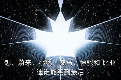 想、蔚來(lái)、小鵬、威馬、恒馳和 比亞迪誰(shuí)能笑到最后