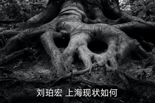 劉珀宏 上?，F(xiàn)狀如何
