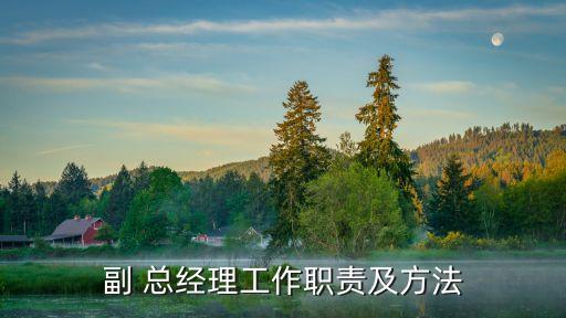 副 總經理工作職責及方法