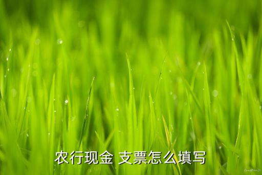 農行現(xiàn)金 支票怎么填寫