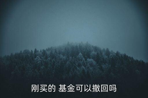剛買(mǎi)的 基金可以撤回嗎