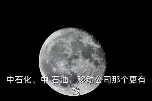 中石化、中 石油、移動公司那個更有錢