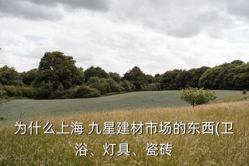 為什么上海 九星建材市場(chǎng)的東西(衛(wèi)浴、燈具、瓷磚