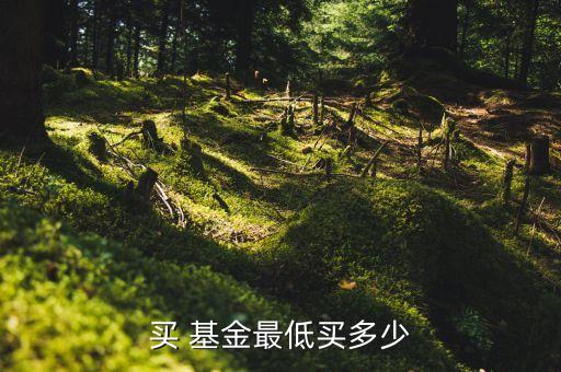 買(mǎi) 基金最低買(mǎi)多少
