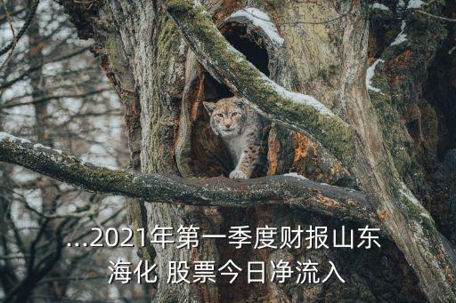 st?；善??；善睔v史交易數(shù)據(jù)