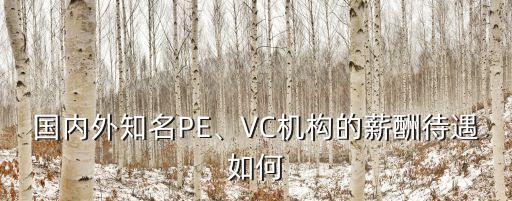 國內(nèi)外知名PE、VC機構(gòu)的薪酬待遇如何