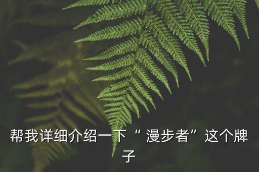 幫我詳細(xì)介紹一下“ 漫步者”這個牌子