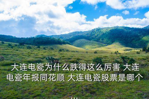 大連昊?？萍脊煞萦邢薰?大連華陽新材料科技股份有限公司