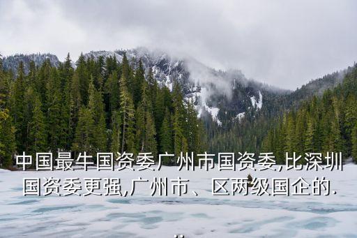 中國(guó)最牛國(guó)資委廣州市國(guó)資委,比深圳國(guó)資委更強(qiáng),廣州市、區(qū)兩級(jí)國(guó)企的...