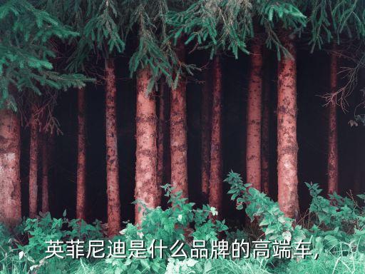 英菲尼迪是什么品牌的高端車(chē),