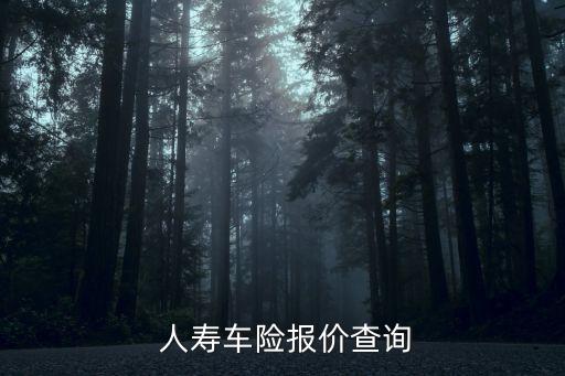  人壽車險(xiǎn)報(bào)價查詢