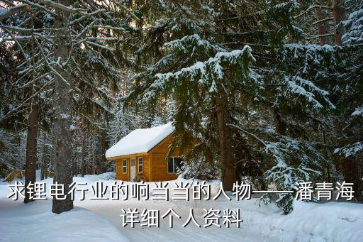 求鋰電行業(yè)的響當(dāng)當(dāng)?shù)娜宋铩饲嗪Ｔ敿?xì)個人資料