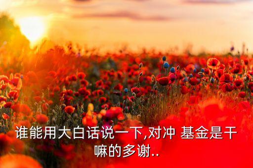誰(shuí)能用大白話說一下,對(duì)沖 基金是干嘛的多謝..
