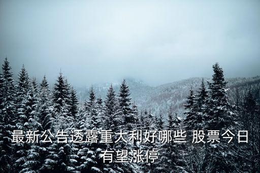 國禎環(huán)保相關股票,300388國禎環(huán)保股票