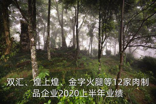 雙匯、煌上煌、金字火腿等12家肉制品企業(yè)2020上半年業(yè)績(jī)