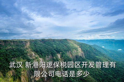  武漢 新港陽(yáng)邏保稅園區(qū)開(kāi)發(fā)管理有限公司電話(huà)是多少