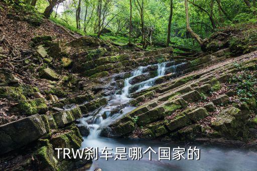 朗森汽車產(chǎn)業(yè)園開(kāi)發(fā)有限公司,江蘇朗森汽車電器有限公司