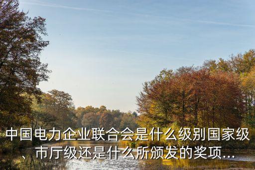 中國(guó)電力企業(yè)聯(lián)合會(huì)是什么級(jí)別國(guó)家級(jí)、市廳級(jí)還是什么所頒發(fā)的獎(jiǎng)項(xiàng)...