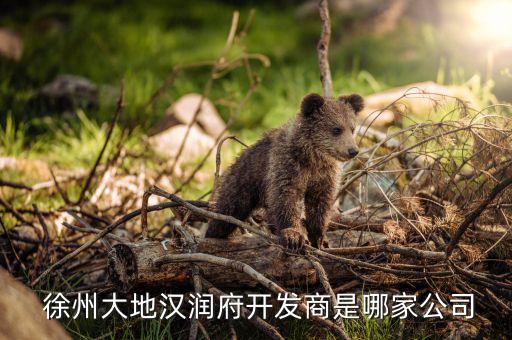  徐州大地漢潤(rùn)府開發(fā)商是哪家公司