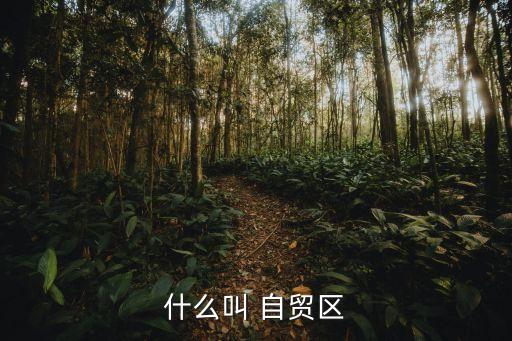 什么叫 自貿區(qū)