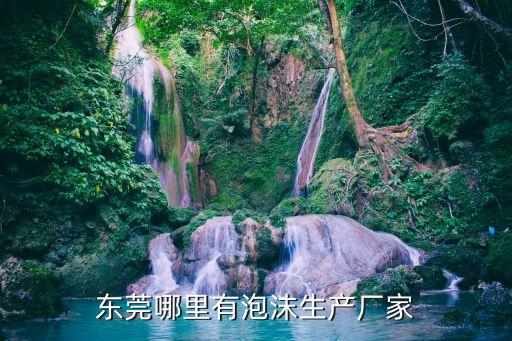 東莞哪里有泡沫生產廠家