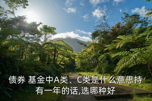 債券 基金中A類、C類是什么意思持有一年的話,選哪種好