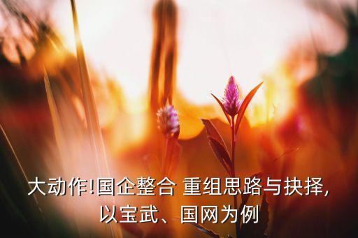 大動作!國企整合 重組思路與抉擇,以寶武、國網(wǎng)為例