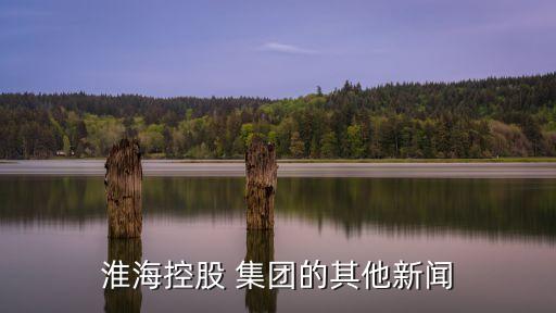 淮?？毓?集團(tuán)的其他新聞