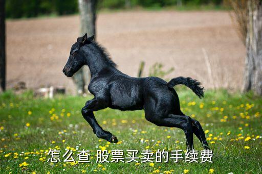 股票傭金返還查詢(xún),同花順股票傭金怎么查詢(xún)