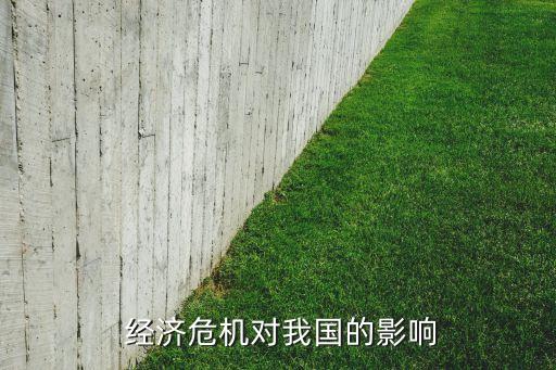  經濟危機對我國的影響