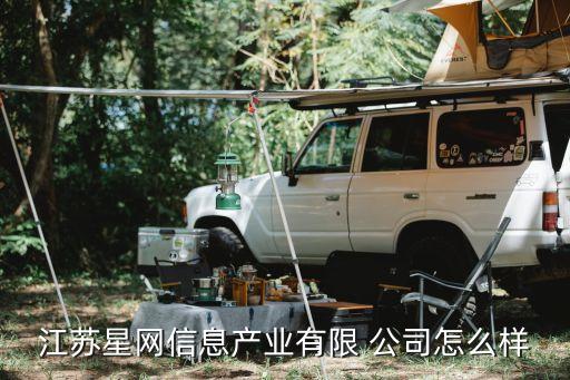 江蘇星網(wǎng)信息產業(yè)有限 公司怎么樣
