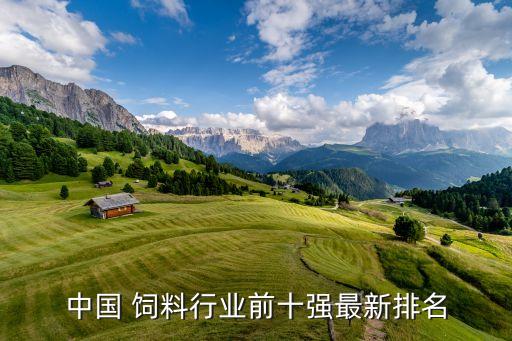 中國(guó) 飼料行業(yè)前十強(qiáng)最新排名