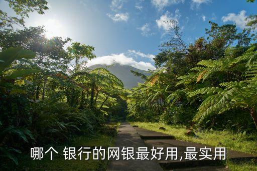 哪個 銀行的網銀最好用,最實用
