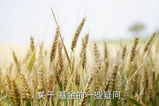 關(guān)于 基金的一些疑問(wèn)